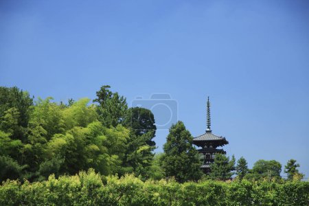 Foto de Vista del Templo Horyu-ji, Tesoro Nacional de Japón - Imagen libre de derechos