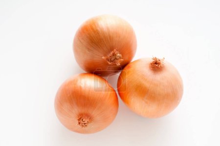 Photo for Onions vegetables on a white background, close up - Royalty Free Image