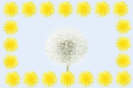 Foto de Fondo floral con flores de verano - Imagen libre de derechos