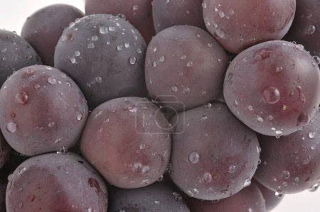 Photo for Close-up view of fresh ripe grapes with water drops on white background - Royalty Free Image