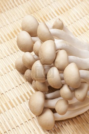 Photo for Fresh shimeji mushrooms on wicker background - Royalty Free Image
