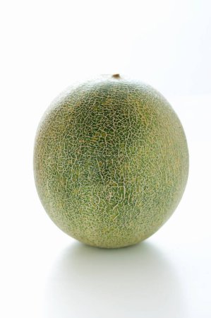 Téléchargez les photos : Savoureux melon frais sur fond blanc - en image libre de droit