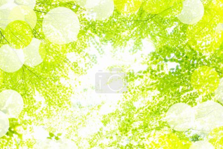 Photo for Light green leaves background - Royalty Free Image