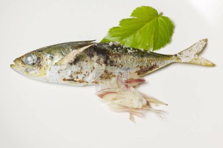 Photo for Raw fresh fish with green leaf - Royalty Free Image