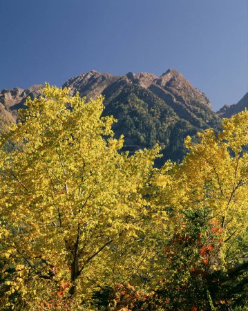 Foto de Hermoso paisaje de otoño en las montañas - Imagen libre de derechos