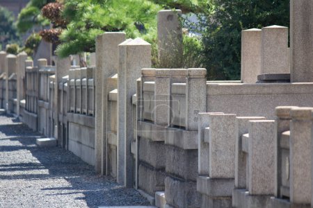 Téléchargez les photos : La clôture en pierre dans le parc - en image libre de droit