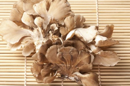close-up view of fresh maitake mushrooms on wicker background            