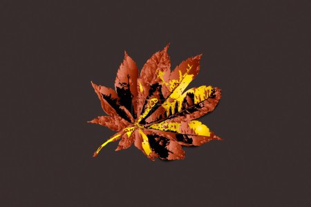 Téléchargez les photos : Feuille d'automne sur fond gris - en image libre de droit