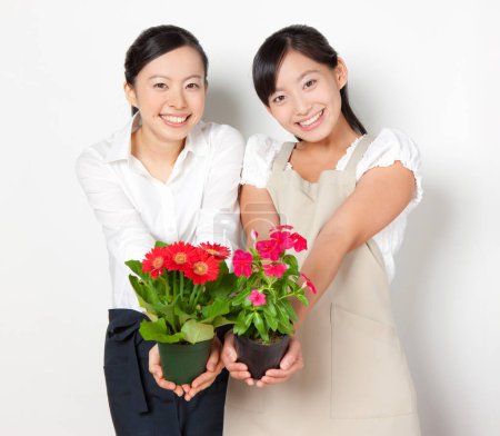 Téléchargez les photos : Jeunes femmes japonaises tenant des fleurs dans des pots de fleurs o fond blanc - en image libre de droit