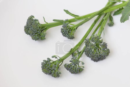 Photo for Green broccoli on a white background - Royalty Free Image