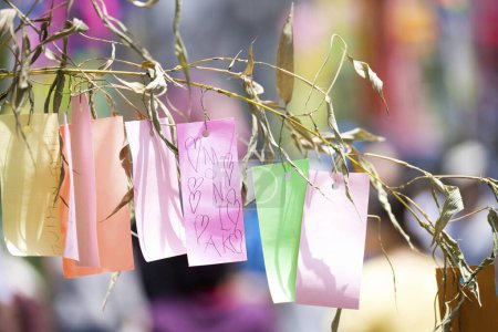  small pieces of paper on tree at Tanabata Festival