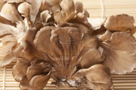 close-up view of fresh maitake mushrooms on wicker background            