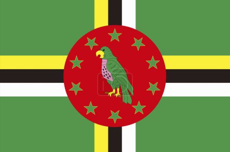 Téléchargez les photos : Le drapeau national de la Dominique - en image libre de droit