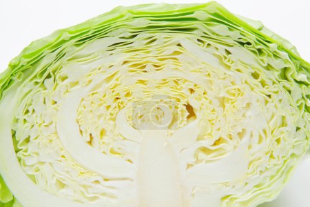 Photo for Close up of fresh cabbage on white background. - Royalty Free Image
