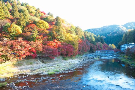 Photo for Koarashi Valley in autumn - Royalty Free Image