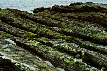 Foto de Hermoso paisaje natural con rocas en el mar - Imagen libre de derechos