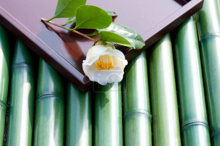 Photo for Close up view of White flower with bamboo grove - Royalty Free Image