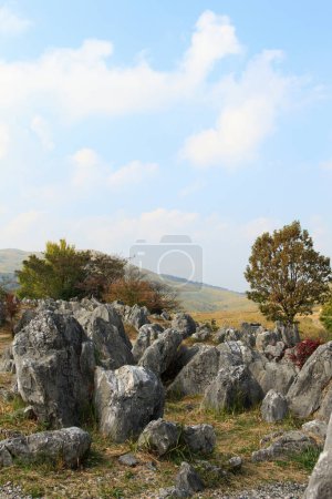 hermosa vista de las rocas en el Parque Nacional Akiyoshidai
