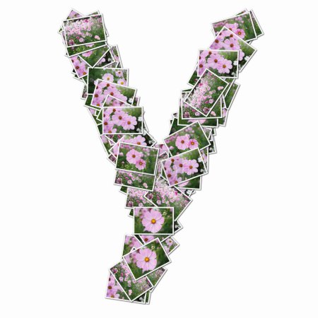 Foto de Símbolo hecho de naipes con flores rosas - Imagen libre de derechos