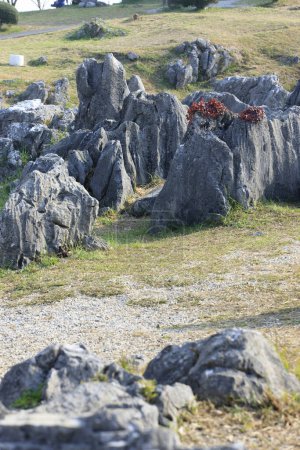 Schöne Aussicht auf Felsen im Akiyoshidai Nationalpark