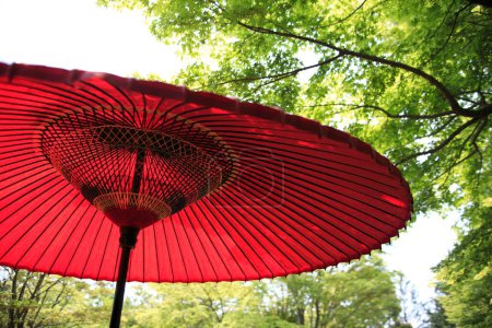 Téléchargez les photos : Parapluie japonais coloré traditionnel et arbres verts - en image libre de droit