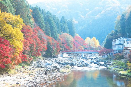 Photo for Koarashi Valley in autumn - Royalty Free Image