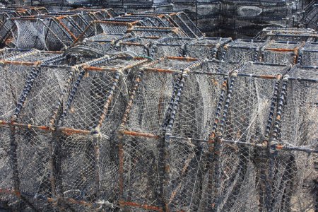 Foto de Trampas de cangrejo en puerto. redes de pesca apiladas - Imagen libre de derechos