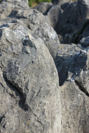 Photo for Beautiful view of rocks in Akiyoshidai National Park - Royalty Free Image