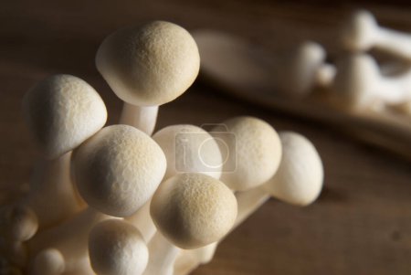 Photo for Fresh ,raw mushrooms on background, close up - Royalty Free Image