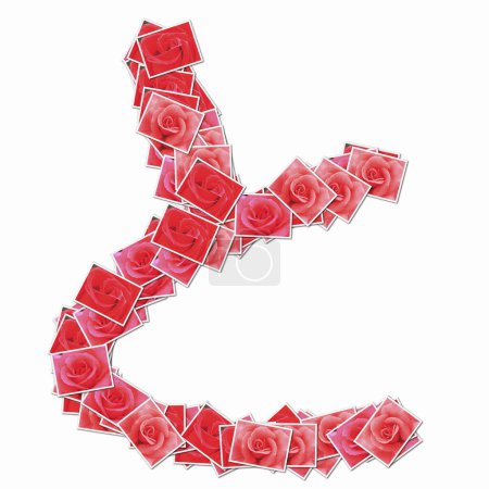 Téléchargez les photos : Hiéroglyphe japonais fait de cartes à jouer avec des roses rouges - en image libre de droit