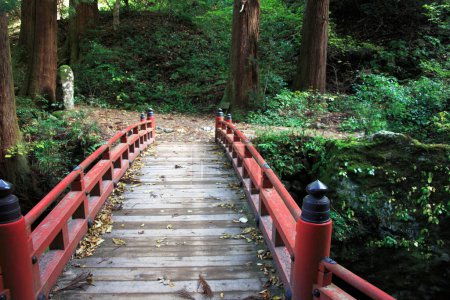 Photo for Japanese wooden bridge in autumn park - Royalty Free Image
