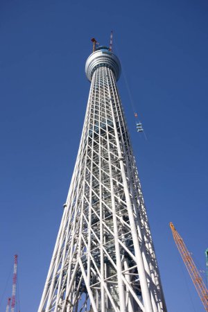 The Tokyo Sky Tree under construction