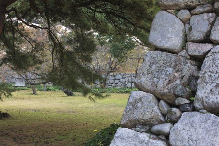 Image des anciennes ruines du château de Hagi au Japon