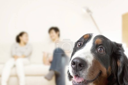 Foto de Un perro sentado frente a una mujer y un hombre - Imagen libre de derechos