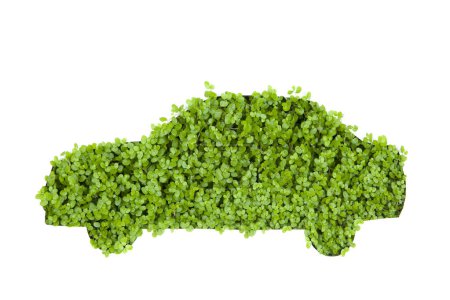 Foto de Concepto de coche hecho de hoja verde - Imagen libre de derechos