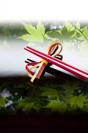Photo for Close up view of chopsticks placed on bow - Royalty Free Image