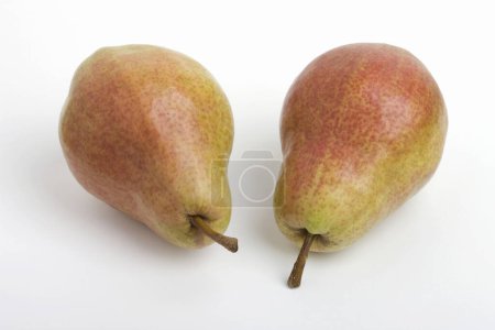 Foto de Close - vista de peras frescas maduras sobre fondo blanco - Imagen libre de derechos