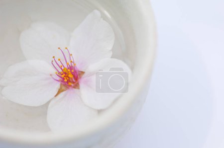 Foto de Flor blanca en cuenco sobre fondo blanco. - Imagen libre de derechos