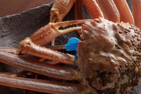 Téléchargez les photos : Chionoecetes opilio frais comme crabe célèbre - en image libre de droit