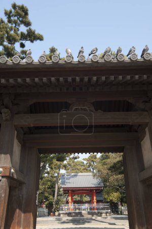 Photo for Sumiyoshi Taisha shrine located in Sumiyoshi, Osaka, Japan - Royalty Free Image