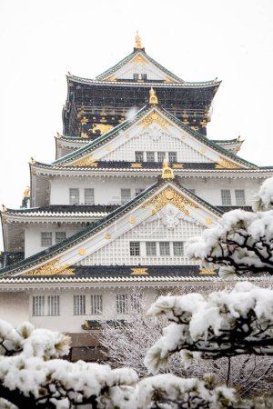 Téléchargez les photos : Château d'Osaka et neige, Japon - en image libre de droit