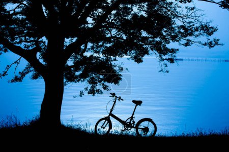 Téléchargez les photos : Silhouette d'un vélo et d'un arbre au coucher du soleil - en image libre de droit