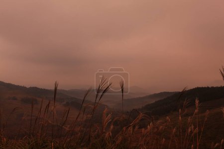 Téléchargez les photos : Beau paysage dans les montagnes - en image libre de droit