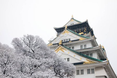 Foto de Castillo de Osaka y nieve, Japón - Imagen libre de derechos
