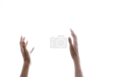 Téléchargez les photos : Mains de femme isolées sur fond blanc - en image libre de droit