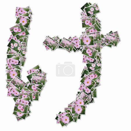Téléchargez les photos : Hiéroglyphe japonais fait de cartes à jouer avec des fleurs roses - en image libre de droit