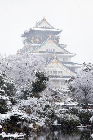 Foto de Castillo de Osaka y nieve, Japón - Imagen libre de derechos