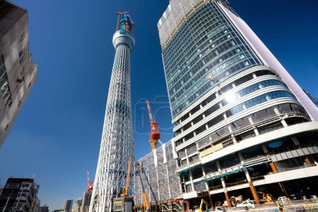 Foto de El árbol del cielo de Tokio en construcción - Imagen libre de derechos