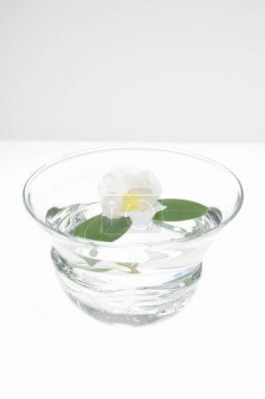 Téléchargez les photos : Verre d'eau avec fleur blanche sur fond blanc - en image libre de droit