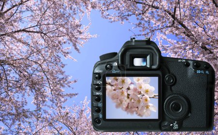 Téléchargez les photos : Vue rapprochée de l'appareil photo numérique et de beaux arbres en fleurs dans le jardin du printemps - en image libre de droit